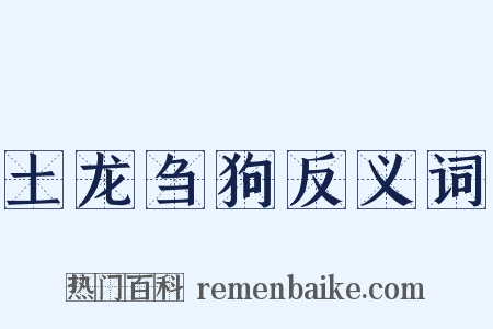 土龙刍狗反义词是什么意思的图片